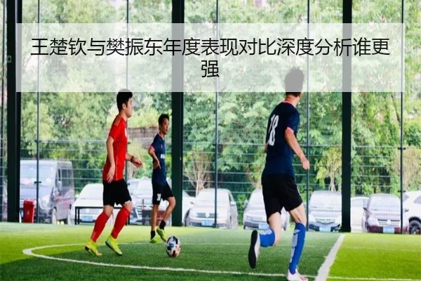 王楚钦与樊振东年度表现对比深度分析谁更强